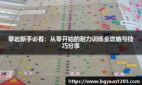攀岩新手必看：从零开始的耐力训练全攻略与技巧分享